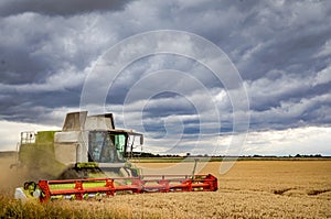 Harvesting under a threatening sky