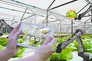 Farmers use tablets to inspect robotic arm harvest produce and monitor agricultural product futuristic vegetable farm,concept