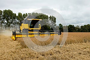 Farmers are using combine harvesters on spelt fielt