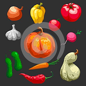 Farmers Vegetables Decorative Icons Set