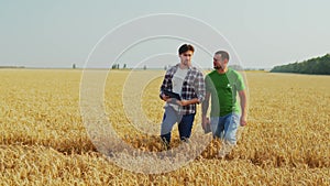 Farmers walk in wheat field, discuss harvesting plan. Agronomist, landlord with touch tablet pc negotiate on harvest