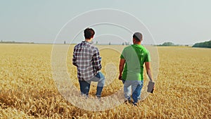 Farmers walk in wheat field, discuss harvesting plan. Agronomist, landlord with touch tablet pc negotiate on harvest