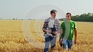 Farmers walk in wheat field, discuss harvesting plan. Agronomist, landlord with touch tablet pc negotiate on harvest