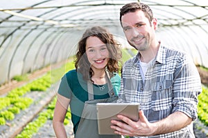 Farmers watching stats on tablet