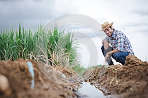 Farmers and water system management in sugarcane fields