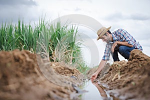 Farmers and water system management in sugarcane fields