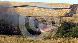 Farmers Working Controlled Burn Intentional Agricultural Fire