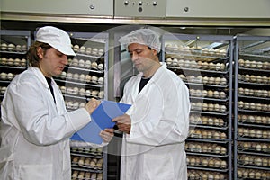 Farmers working in incubator