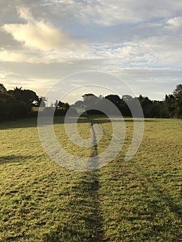 Farmerâ€™s field in Feock, Cornwall.