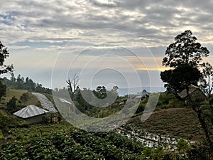 Farmfield near mount Batur. Bali, Indonesia