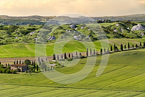 Farmhouse and alley in near Siena, Crete Senesi, Tuscany, Italy