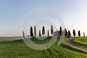 Farmhouse and cypress trees in Tuscany. Springtime rural landscape