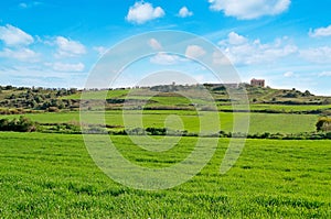 Farmhouse in a field