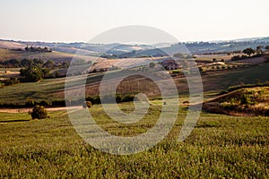 Farmhouse in the fields in the hills between Pesaro and Tavullia in Italy