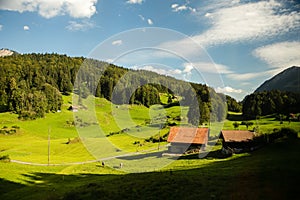 Farmhouse in forest and grassland