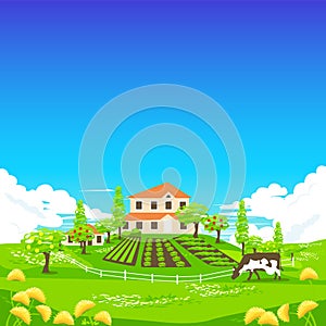 Farmhouse with a garden, a kitchen garden, a white hedge and a grazing cow