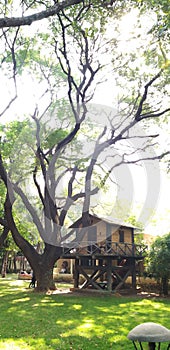 A farmhouse in pune during summer