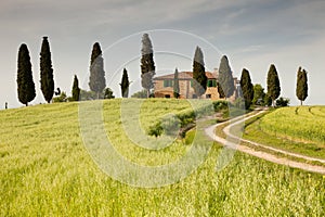 Farmhouse in Tuscany img