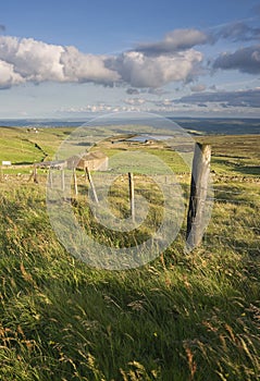 Farmhouse on yorkshire moorland