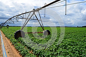 Farming photo