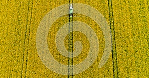 Farming. Agricultural tractor spraying oilseed rape field.