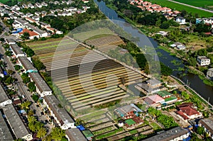 Farming, Agriculture Aerial Photography in Thailand