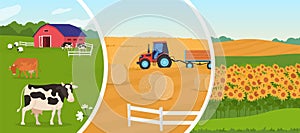 Farming agriculture vector illustration, cartoon flat set with sheep cows in cattle farm, harvesting tractor, farmfield
