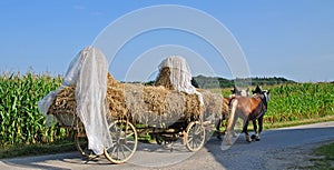 Farming in Chiemgau,Bavaria,Germany