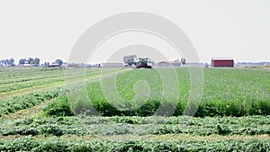 Farming Combine Mowing Crop With Butterflies Flying Out of Plants