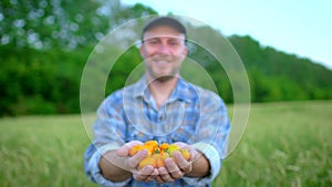 Farming and cultivations. Portrait of man farmer showing vegetables, tomato, Farmer`s market, tomatoes cherry, Organic