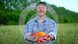 Farming and cultivations. Portrait of man farmer showing vegetables, tomato, Farmer`s market, tomatoes, Organic Farming