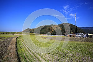 Farming field landscape near kyoto, japan- Kameoka shi