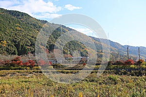 Farming field landscape near kyoto, japan- Kameoka shi