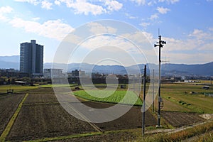 Farming field landscape near kyoto, japan- Kameoka shi