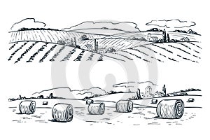 Farming fields landscape, vector sketch illustration. Agriculture and harvesting vintage background. Rural nature view