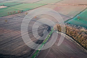 Farming Fields in Morning Light