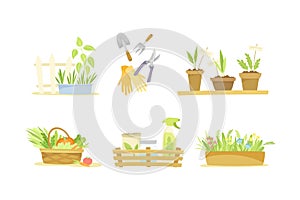 Farming, gardening and agriculture objects set. Seedlings and tools vector illustration
