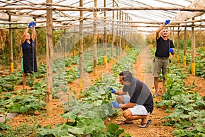 Farming, gardening, agriculture and people concept - Family business. Family Working Together In Greenhouse