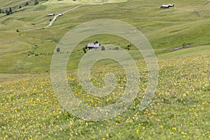 Farming and hiking landscape around Seiser Alm