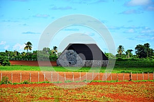 Farming house in Puerto Esperanza, Cuba photo