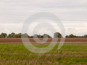 Agricultura marrón blanco el cielo verde en 