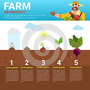 Farming Infographics Eco Friendly Organic Natural vegetable Growth Farm Production Banner With Copy Space