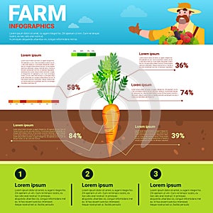 Farming Infographics Eco Friendly Organic Natural vegetable Growth Farm Production Banner With Copy Space