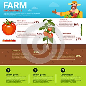 Farming Infographics Eco Friendly Organic Natural vegetable Growth Farm Production Banner With Copy Space