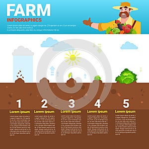 Farming Infographics Eco Friendly Organic Natural vegetable Growth Farm Production Banner With Copy Space