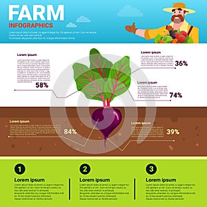 Farming Infographics Eco Friendly Organic Natural vegetable Growth Farm Production Banner With Copy Space