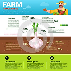 Farming Infographics Eco Friendly Organic Natural vegetable Growth Farm Production Banner With Copy Space