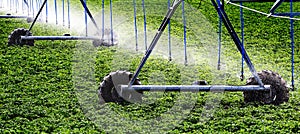 Farming Irrigation Pivot Sprinkler System Watering Crops on Farm