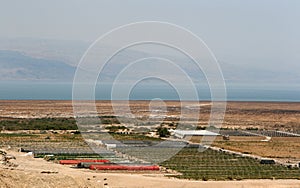 Farming In Israel