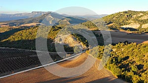 Farming landscape and grove aerial view. Navarre, Spain.